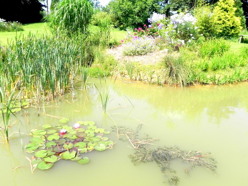 Bed and Breakfast Les Charmilles Hazebrouck Exterior foto